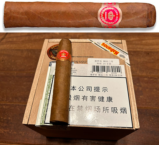 尊罗宾-精品二号